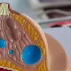 乳腺外科